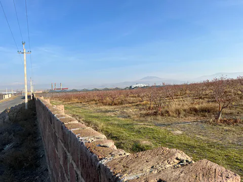 Պատկեր 11