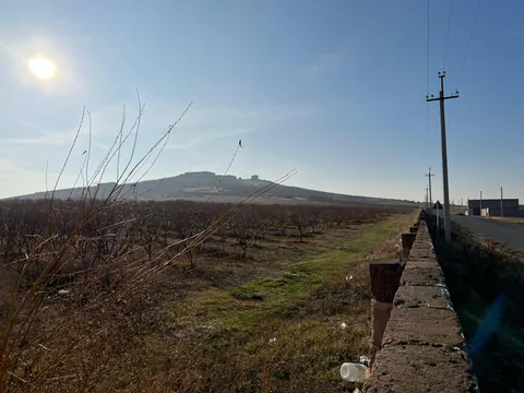 Պատկեր 12