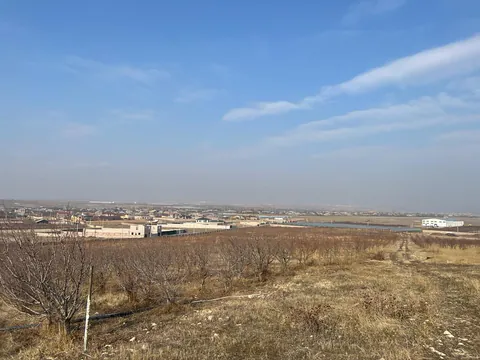Պատկեր 13