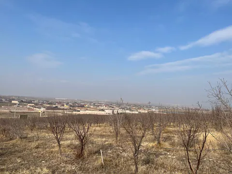 Պատկեր 6