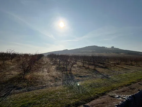 Պատկեր 7